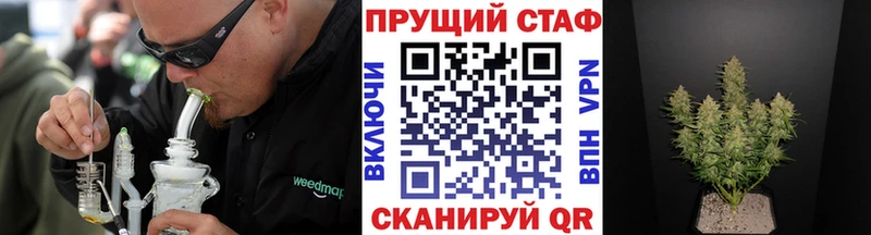 Купить закладку Бийск КОКАИН  Alpha-PVP  Галлюциногенные грибы  Меф мяу мяу  ГАШ 