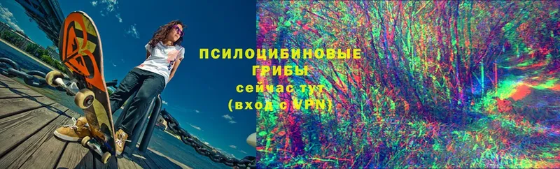 сайты даркнета официальный сайт  Бийск  Галлюциногенные грибы Psilocybe  где найти  