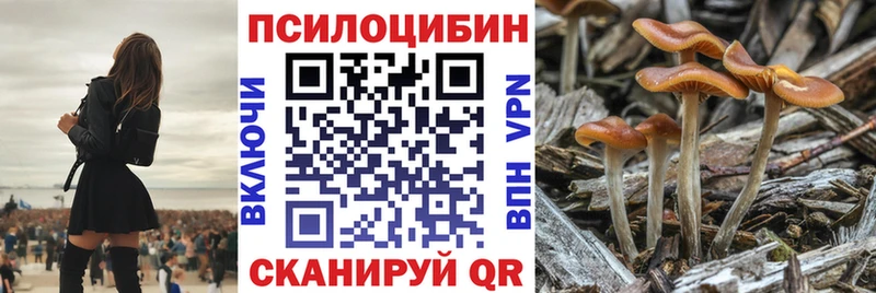 закладки  mega как зайти  Галлюциногенные грибы Cubensis  Бийск 