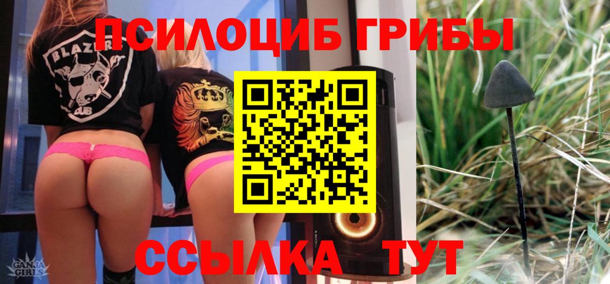 Псилоцибиновые грибы GOLDEN TEACHER  Бийск 